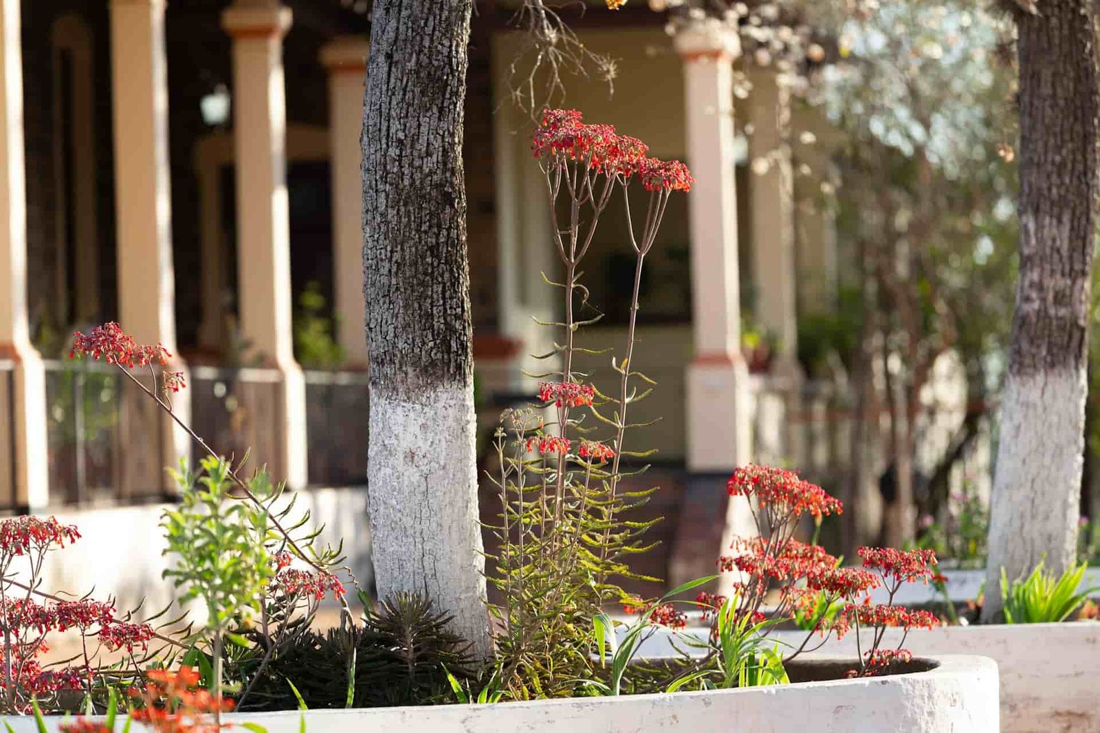 mirtha rodriguez rojas 1lvd23swhqi unsplash (1)