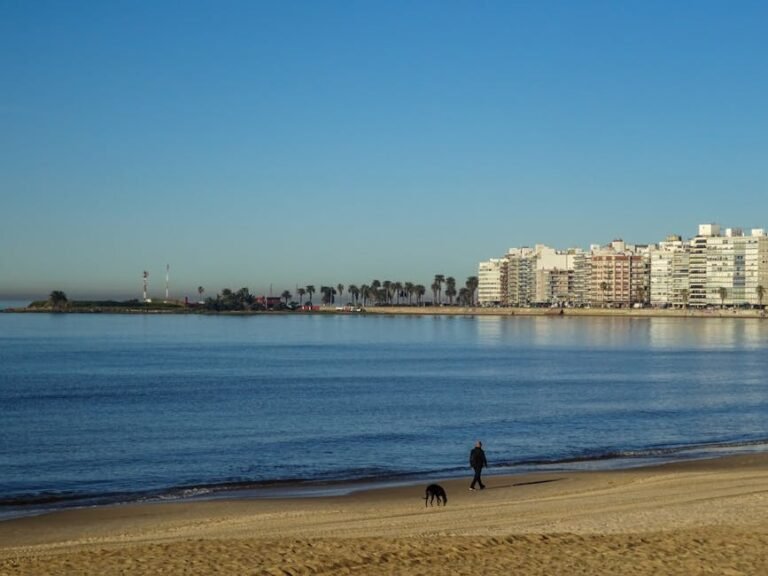 Home pexels-photo-33631912-33631912.jpg